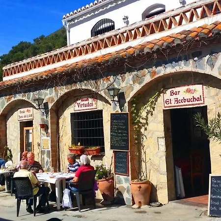 Casa Antonio Acebuchal